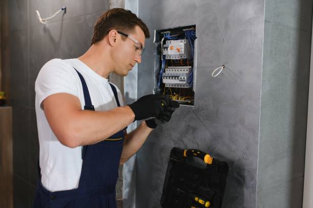 Best Electric Panel Repair  in Kingstowne, VA